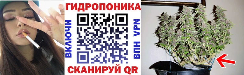 Конопля THC 21%  где купить наркоту  Петров Вал 